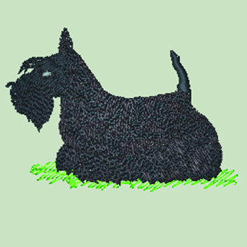 Scottish Terrier (WD182) - Click Image to Close
